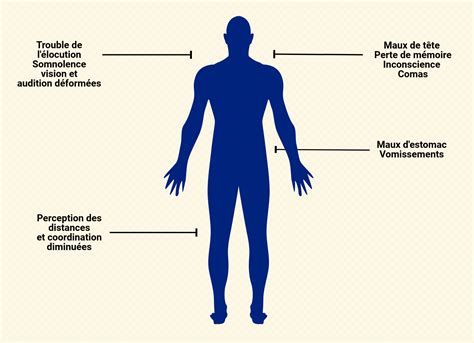 Les Effets De La Consommation Dalcool à Court Et Long Termes Portage