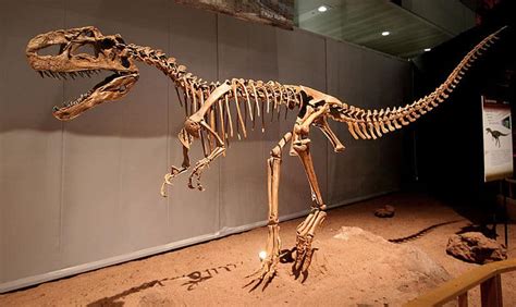 Monolophosaurus A Chinese Middle Jurassic Predator