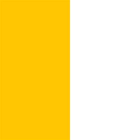 Flag Papal States between 1808 1870 1 35m² 14 5sqft 120x120cm