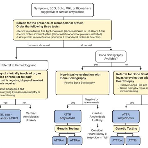 Diagnostic Algorithm For Patients With Suspected Cardiac Amyloidosis