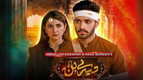 Dramatic Brilliance: Top 10 Pakistani Dramas of 2023