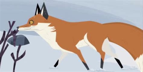 Image - Red-fox-wild-kratts.png | Animals Wiki | FANDOM powered by Wikia