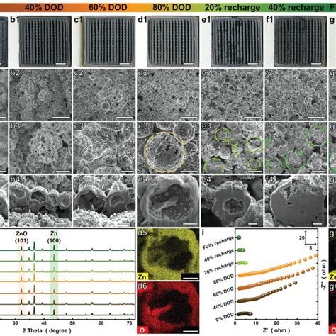 Structural And Compositional Characterization Of The 3DKZnO Zn