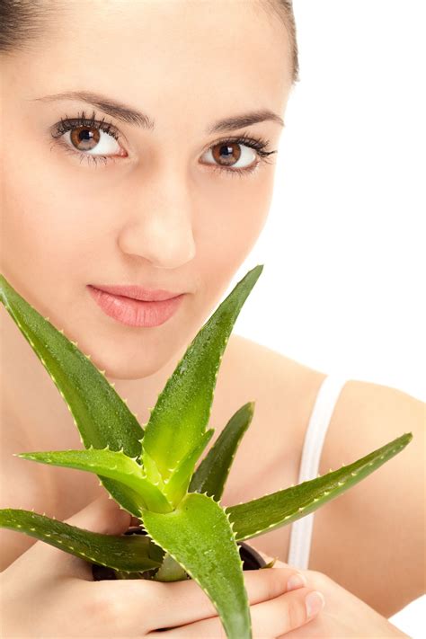 Top 15 Amazing Health Benefit Of Aloe Vera Theayurveda