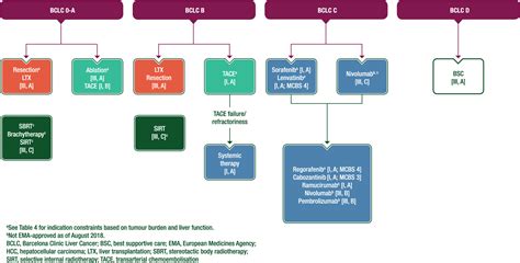 Esmo Guidelines Lorri Rebekah