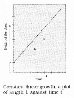 Plus One Botany Notes Chapter 11 Plant Growth And Development A Plus