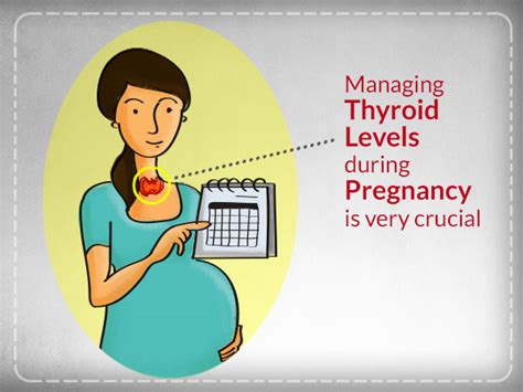 Thyroid Issues And Pregnancy 2017 Guidelines Of The American Thyroid Association For The