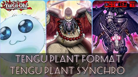 Tengu Plant Synchro Yugioh Tengu Plant Retro Format Deck Profile