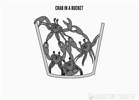 CRAB BUCKET MENTALITY How Human Behaved The Example Of Crabs