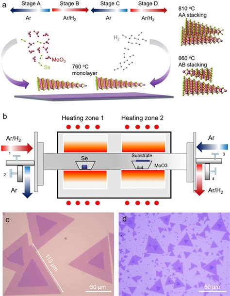 Controllable Cvd Growth Of The Mose 2 Bilayer A Schematic Diagram Of Download Scientific