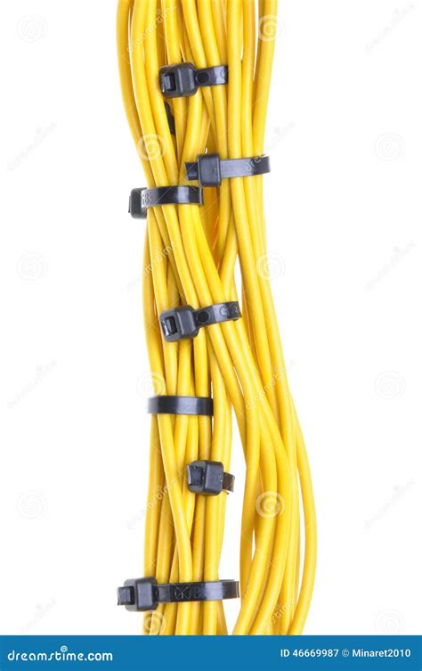 Bundle Of Yellow Cables With Black Cable Ties Stock Image Image Of