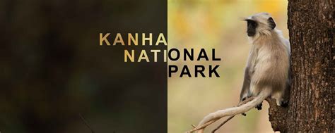 Kanha National Park