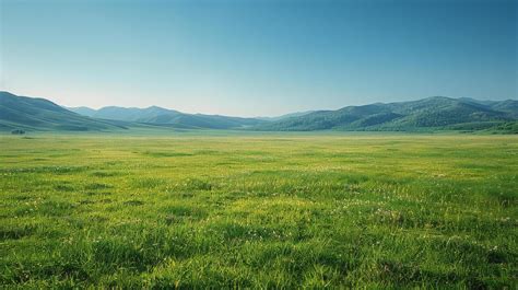 Grassy Plain Stock Photos, Images and Backgrounds for Free Download 