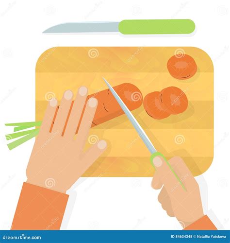 Hands Cutting Carrot Stock Vector Illustration Of Fresh 84634348