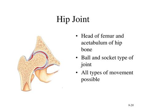 Ppt Chapter 9 Joints Powerpoint Presentation Free Download Id3130113