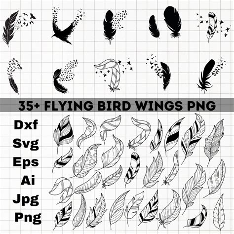 Feather Svg Bundle Feather Birds Svg Flying Birds Svg Dxf Png 