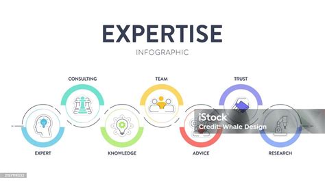 Expertise Framework Infographic Diagram Chart Banner With Illustration