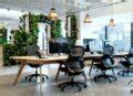 A Guide To Designing A Biophilic Office Ianiko