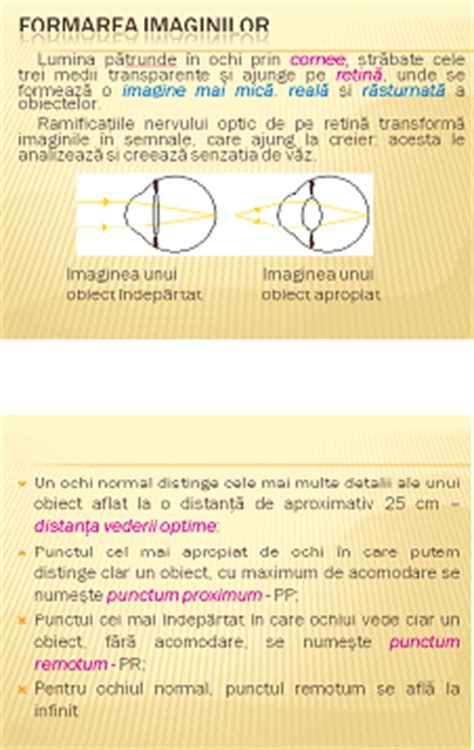 Fizica Interactiva Proiect Didactic Ochiul Ochelarii Lupa