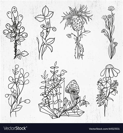 Wildflowers Svg Floral Svg Wild Flower Svg Vector Image