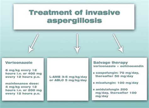 Invasive Aspergillosis In Transplant Recipients Intechopen