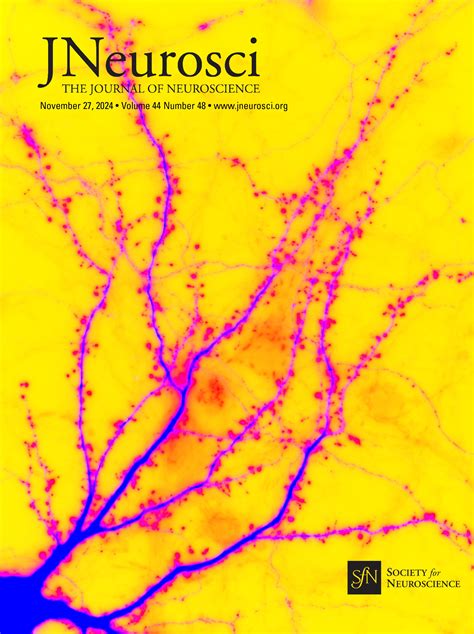 Developmental Spike Timing Dependent Long Term Depression Requires