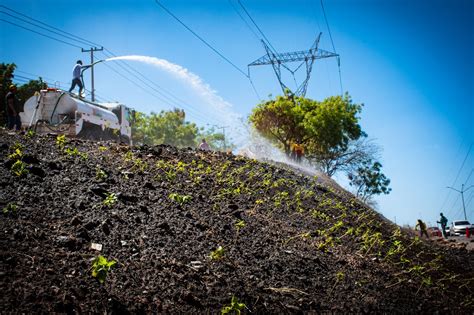 Avanza obra de acondicionamiento de talud ubicado en la avenida Álvaro