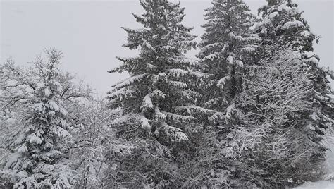 Vigilance rouge dans le massif des Vosges risque de coulées de neige