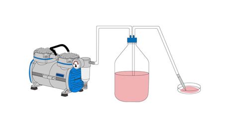 Cell Culture Aspiration Basics Procedures Essentials