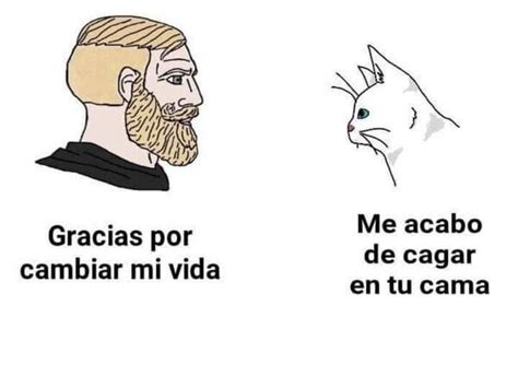 No hay de qué : r/SpanishMeme