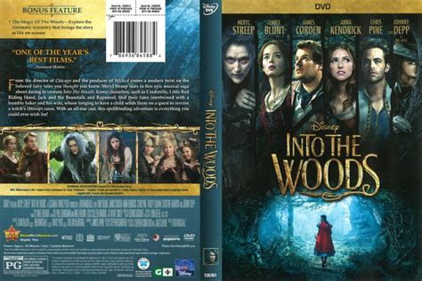 Into the Woods (2015) R1 DVD Cover - DVDcover.Com