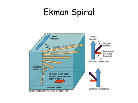 PPT - Ocean Circulation II Ekman transport & Geostrophic currents PowerPoint Presentation - ID ...