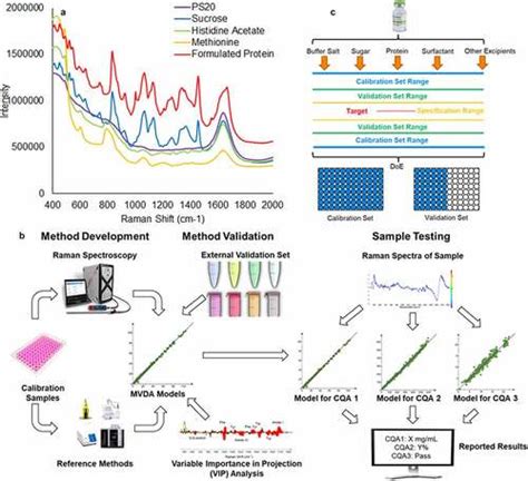 Full Article Multi Attribute Raman Spectroscopy Mars For Monitoring Product Quality