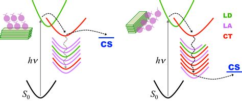 How Do Excitons’ Size and Density Depend on Heterojunction’s ...