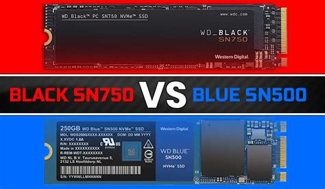 Wd Black Vs Blue Nvme Ssd