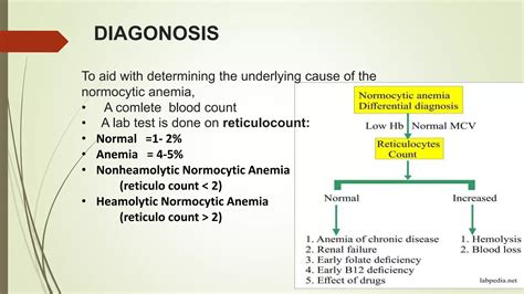 Normocytic Anemia Ppt