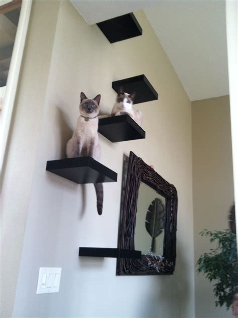 20+ Cat Wall Shelves Ikea – The Urban Decor