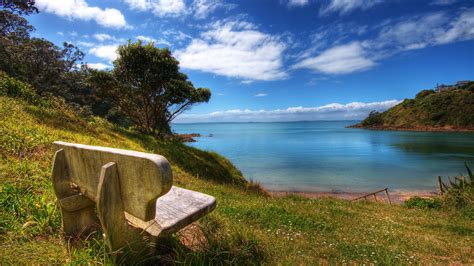 Landscape Bench