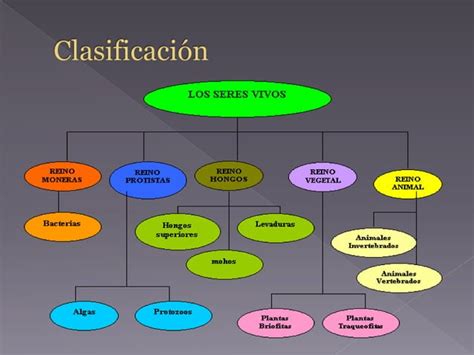 La Manera Correcta De Conocer Nuestro Mundo Ppt