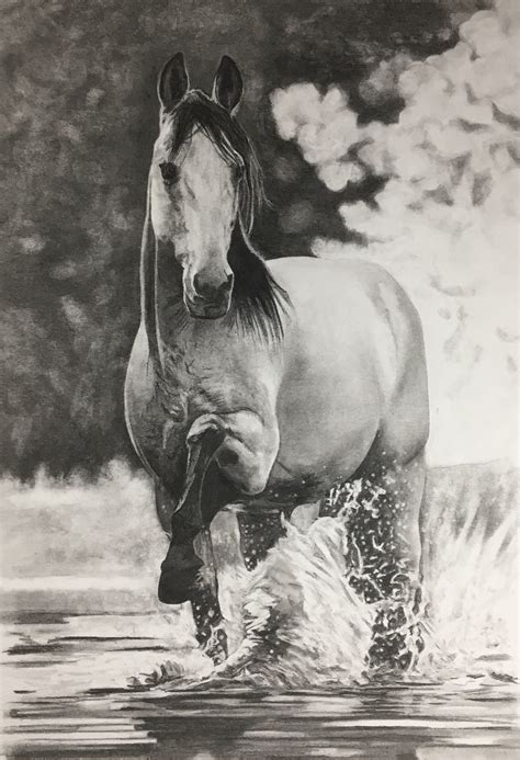 Original Pencil Drawing Art Illustration Horses Wild Etsy Canada