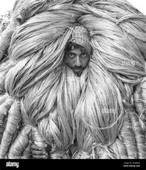 Jute Worker Hi Res Stock Photography And Images Alamy