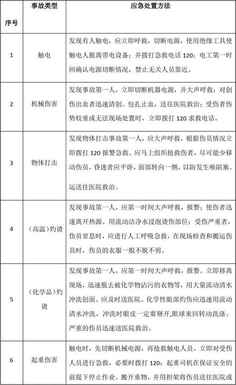 安全生产应急处置措施word文档在线阅读与下载免费文档