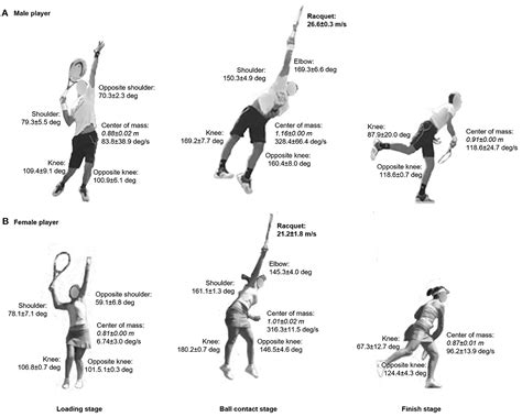 Frontiers Biomechanical Estimation Of Tennis Serve Using Inertial