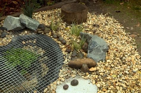 How To Build A Frog Pond Bunnings Australia