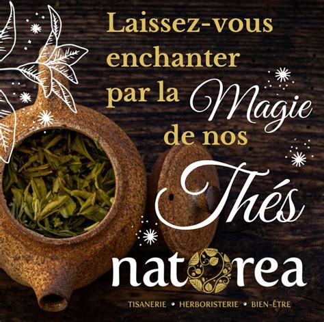 Magasin De Th S Tournai Natorea Rue Dorez Tournai