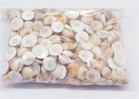 White Natural Gomati Chakra For Pooja And Vastu Kg At Rs Per Kg