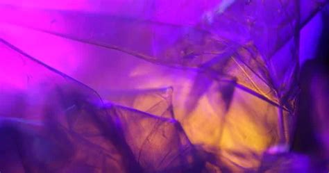abstract color paper texture maro shot stock video pond