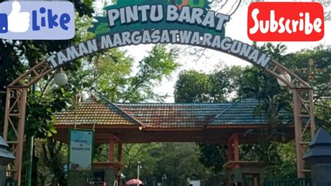 PINTU MASUK RAGUNAN Ll Lewat Pintu Barat Lenteng Agung YouTube