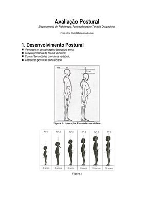 Diagnostico Clinico Postural Um Guia Pr E Tico Diagnstico Cl Nico