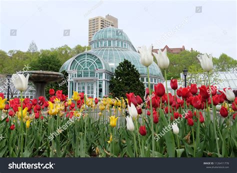 2 591 237 Botanical Garden Spring Stock Photos Images Photography